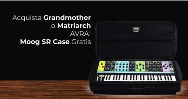 Ricevi un Moog SR Case Gratis 