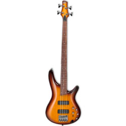 Basses Fretless