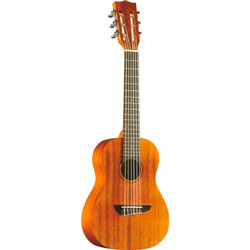 Discovery Autres Guitares Classiques Musicalstore2005